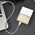 Western Digital My Passport Ultra